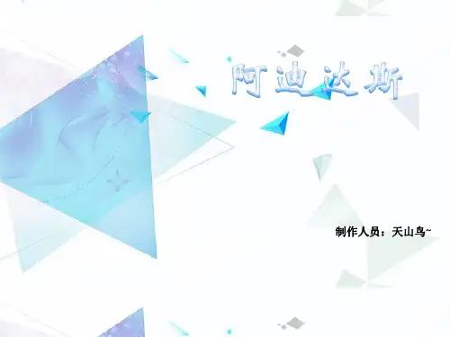 阿迪达斯 案例演讲
