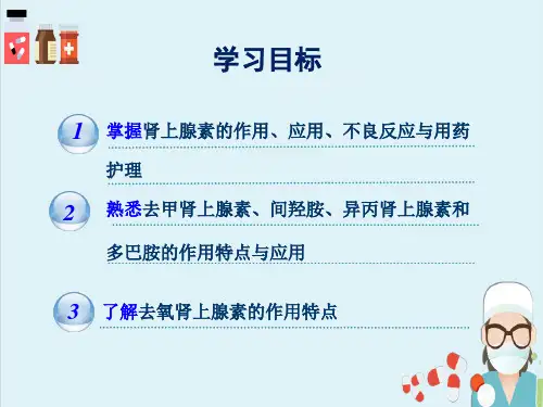 肾上腺素受体激动药—β受体激动药(药理学)