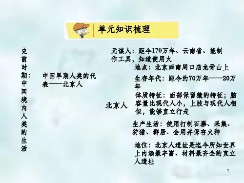 七年级历史上册 第一单元 史前时期 中国境内人类的活动知识方案教学优质课件 新人教版