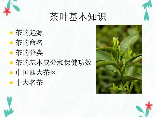 茶叶培训资料