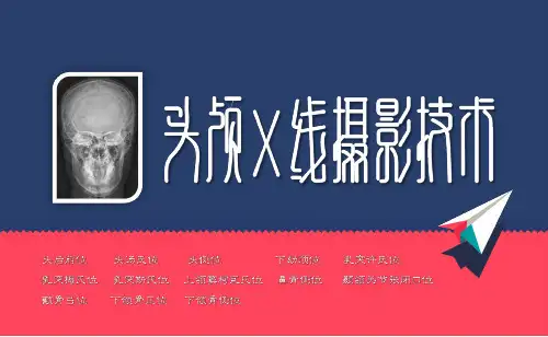 头部X线摄影技术 