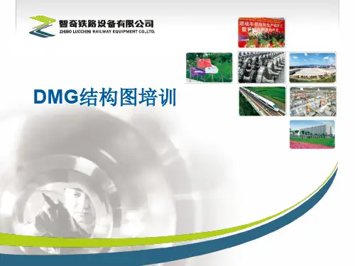 DMG结构