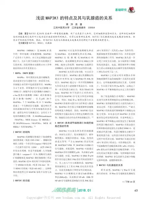 浅谈MAP3K1的特点及其与乳腺癌的关系