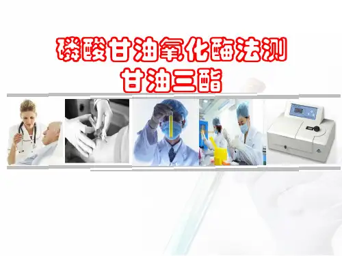 生化基础物质检测—脂类检测