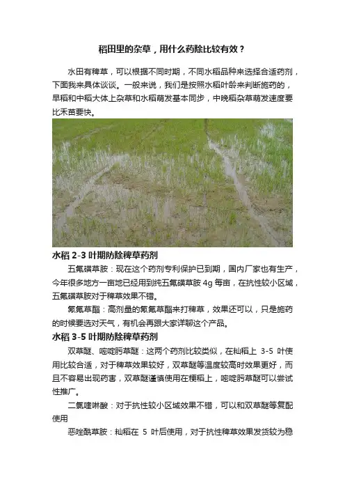 稻田里的杂草，用什么药除比较有效？