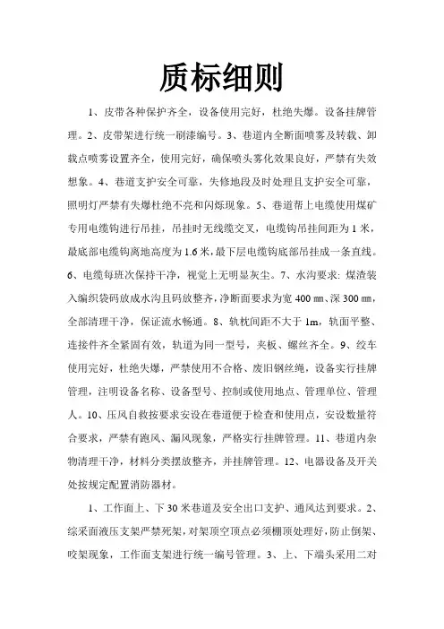 质量标准化细则