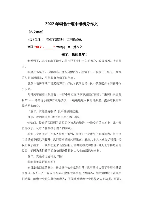 2022年湖北十堰中考满分作文《别了,我的童年!》