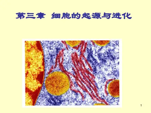 第三章  细胞的起源与进化HGPPT课件