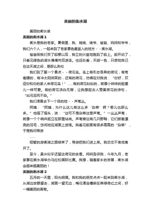 美丽的衡水湖
