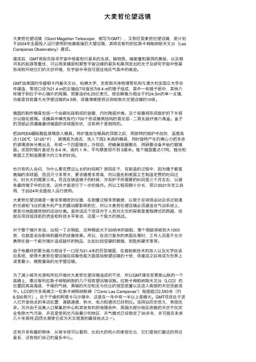 大麦哲伦望远镜