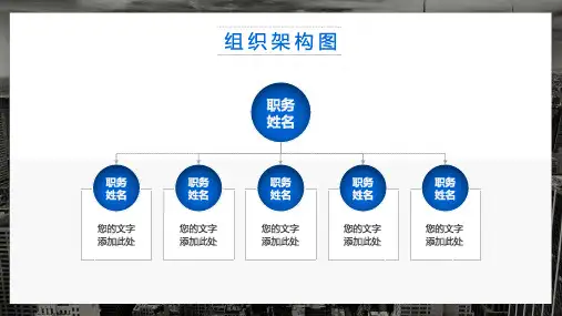 公司组织架构图模板(完整版)可编辑 (29)