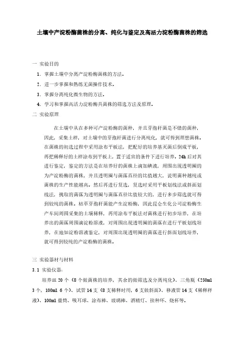 土壤中产淀粉酶菌株分离纯化及鉴定