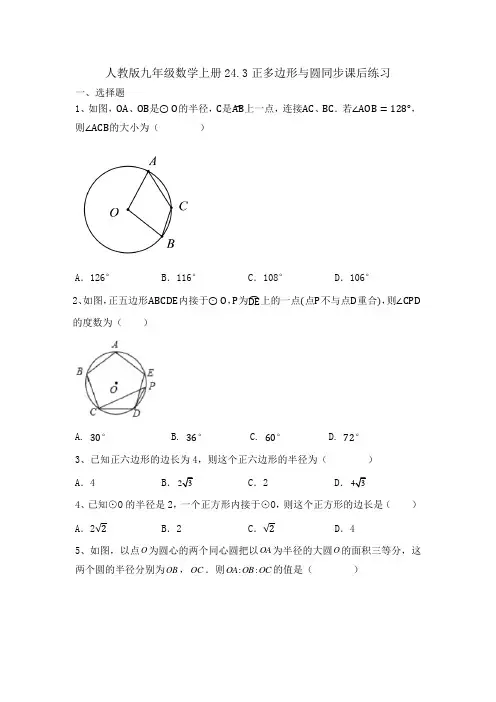 24.3正多边形与圆同步课后练习++2024—2025学年人教版九年级数学上册
