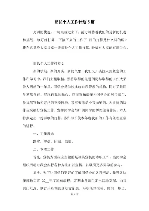 部长个人工作计划5篇