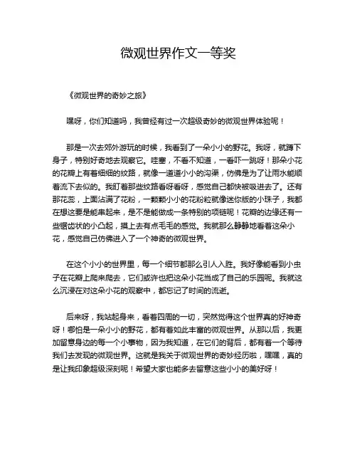 作文-微观世界作文一等奖