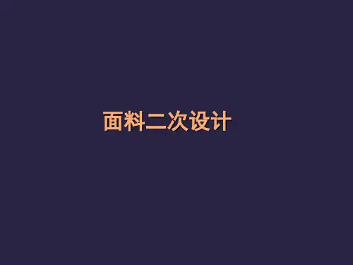 面料二次设计ppt
