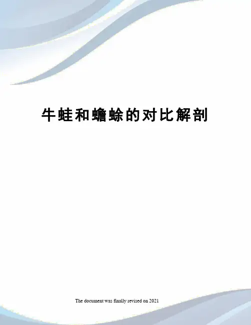 牛蛙和蟾蜍的对比解剖