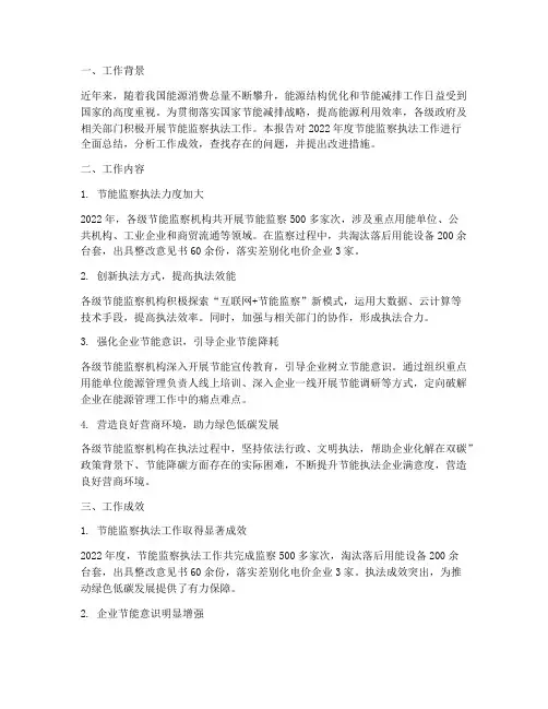 节能监察执法工作总结报告