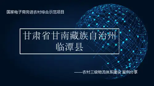 案例分享-农村三级物流体系