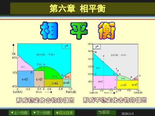 物理化学第六章资料
