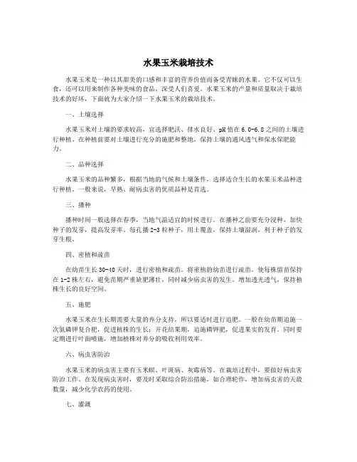 水果玉米栽培技术