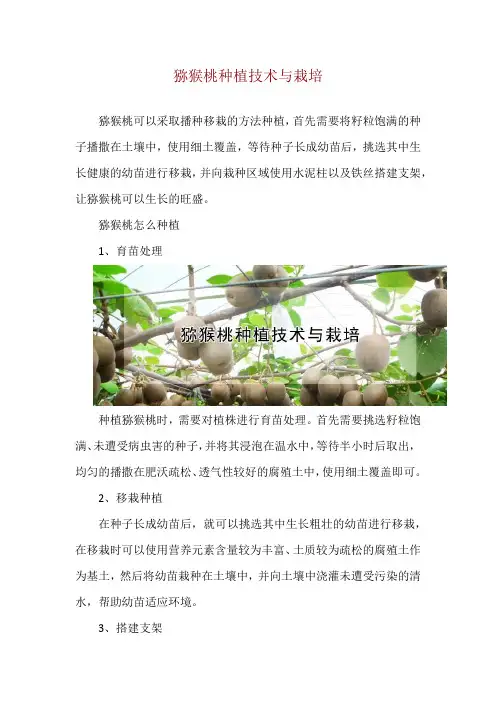 猕猴桃种植技术与栽培