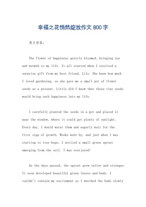 幸福之花悄然绽放作文800字
