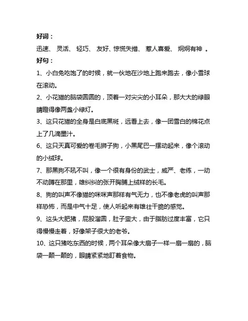 三年级上册语文摘抄好词好句