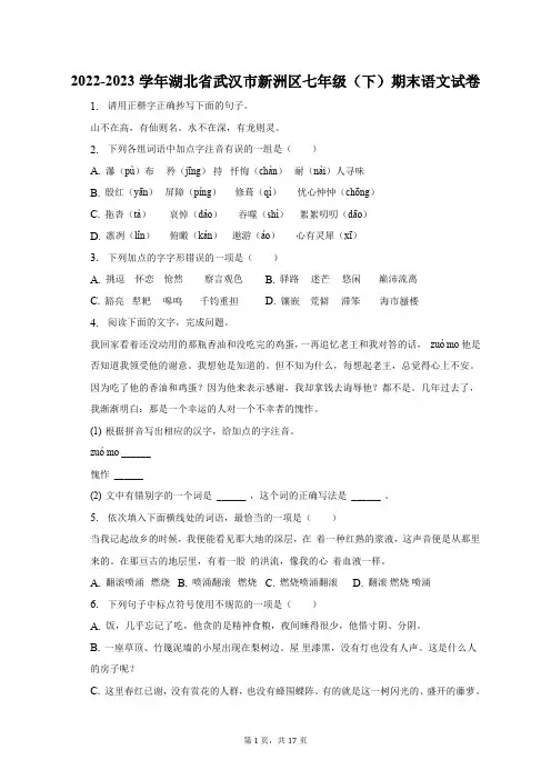 2022-2023学年湖北省武汉市新洲区七年级(下)期末语文试卷(含解析)