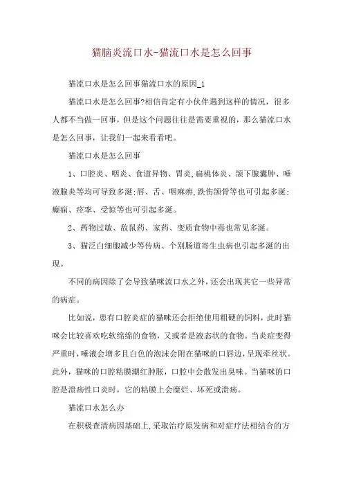 猫脑炎流口水-猫流口水是怎么回事