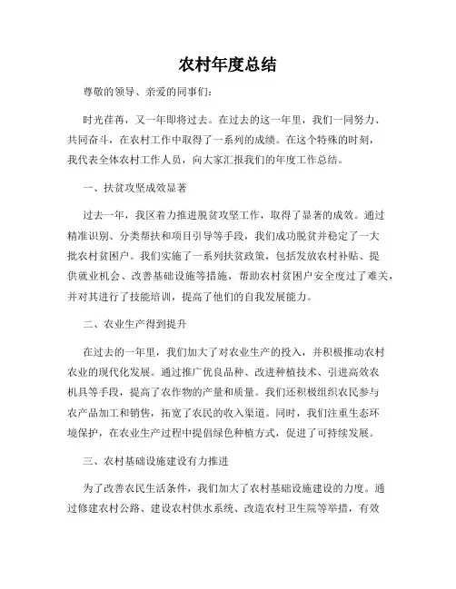 农村年度总结