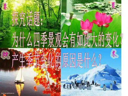 地球的运动公转