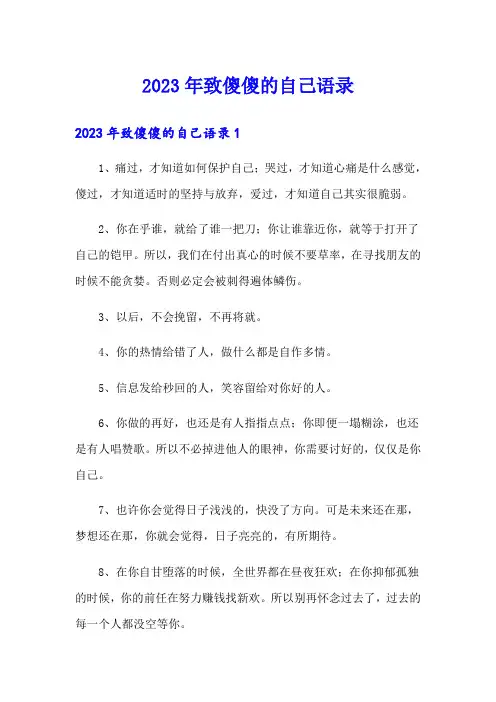2023年致傻傻的自己语录