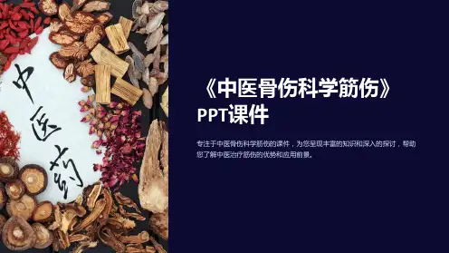 《中医骨伤科学筋伤》课件