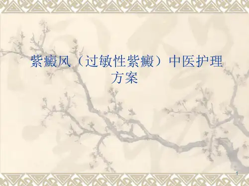 过敏性紫癜中医护理方案ppt课件