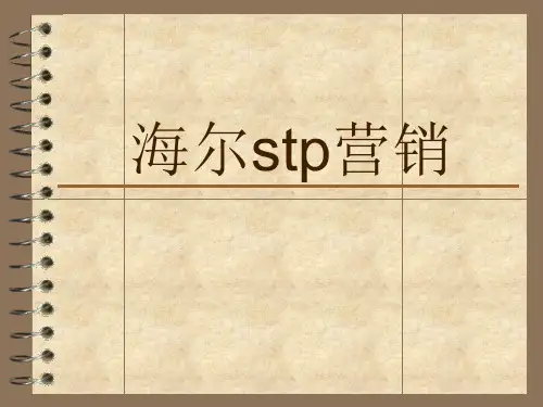 海尔STP分析