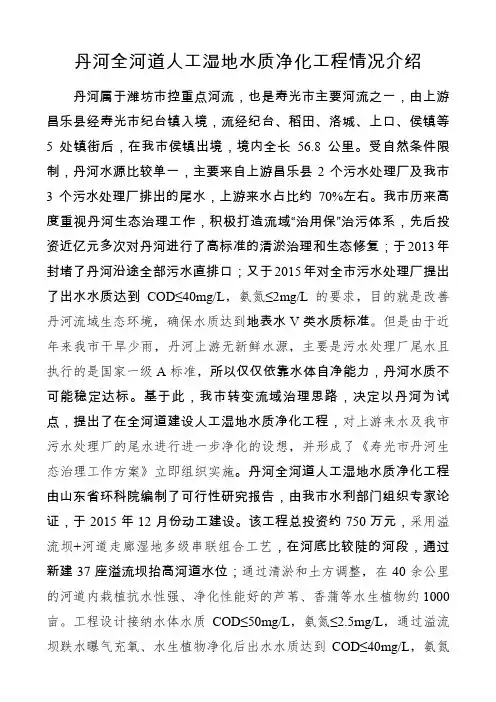 丹河全河道人工湿地情况介绍