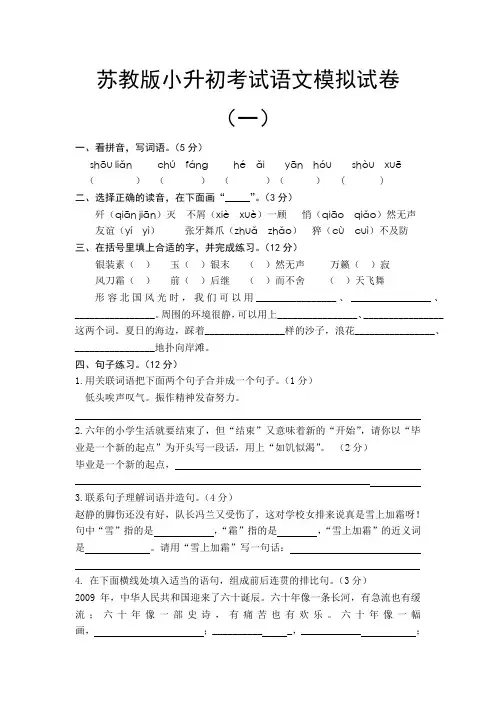 苏教版小升初考试语文模拟试卷(一)
