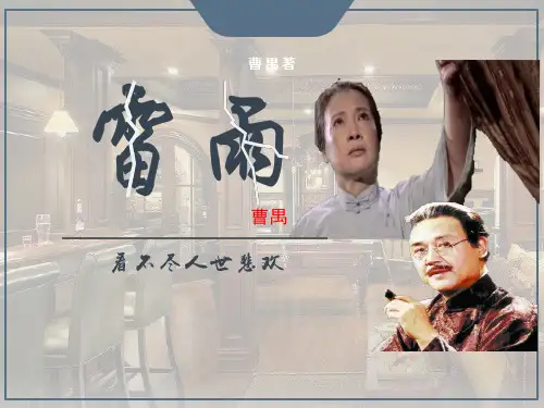 部编版高中语文必修下册5《雷雨(节选)》课件54张
