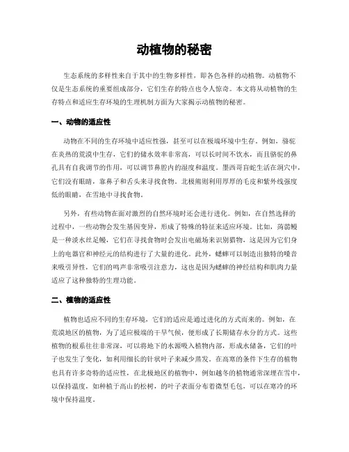 动植物的秘密