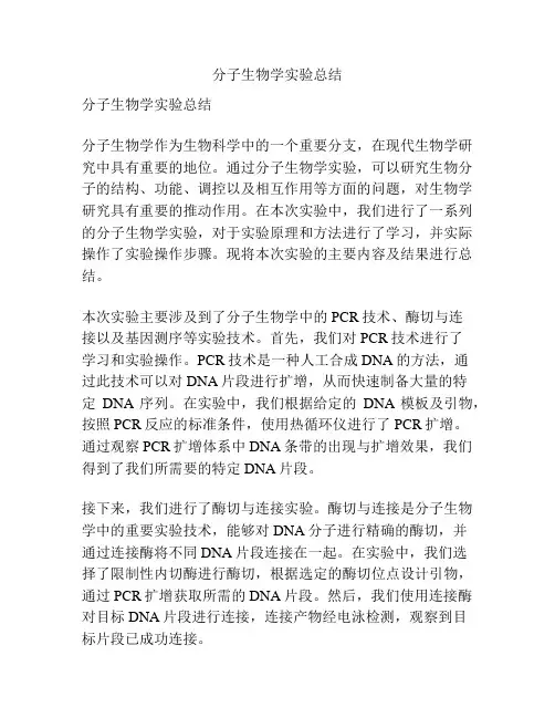 分子生物学实验总结