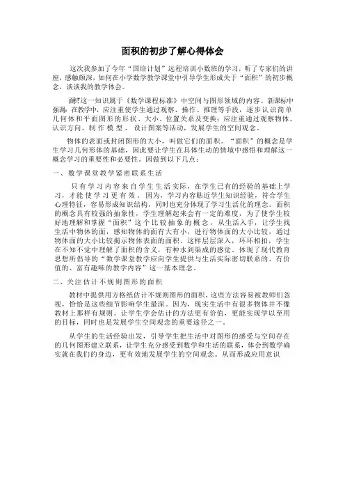 面积的初步了解心得体会