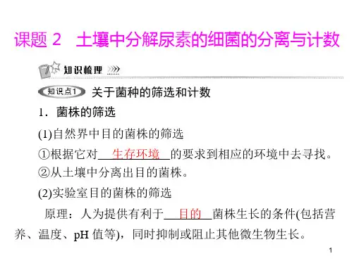 土壤中分解尿素的细菌的分离与计数人教版选修PPT课件
