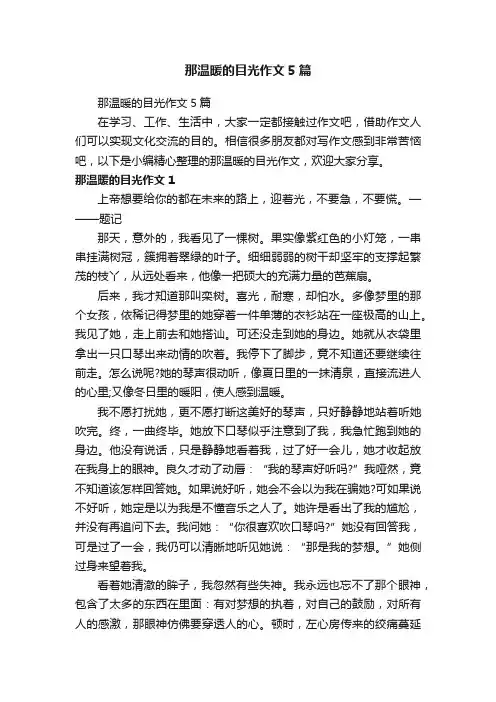 那温暖的目光作文5篇