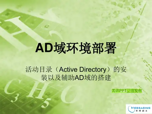 AD域部署