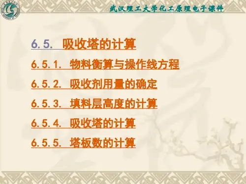 化工原理6.5吸收塔的计算