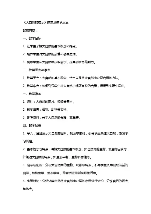 《大自然的启示》教案及教学反思