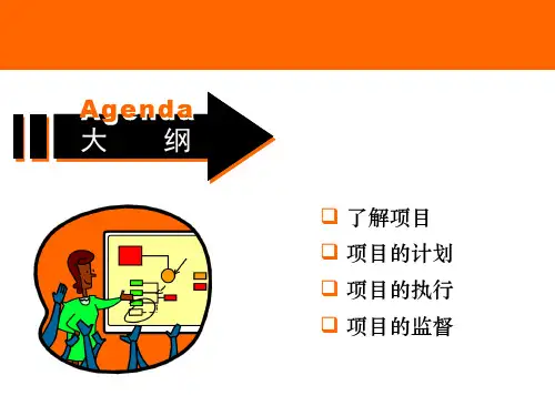 项目管理大纲