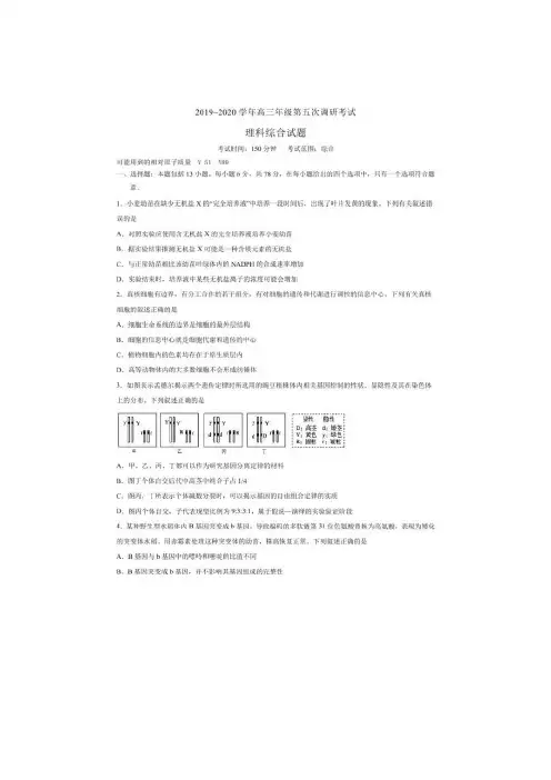 2019-2020学年高三年级第五次调研考试 理科综合试题(含答案)