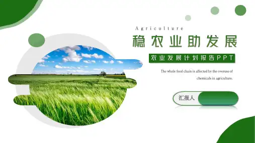 智慧农业发展规划PPT模板